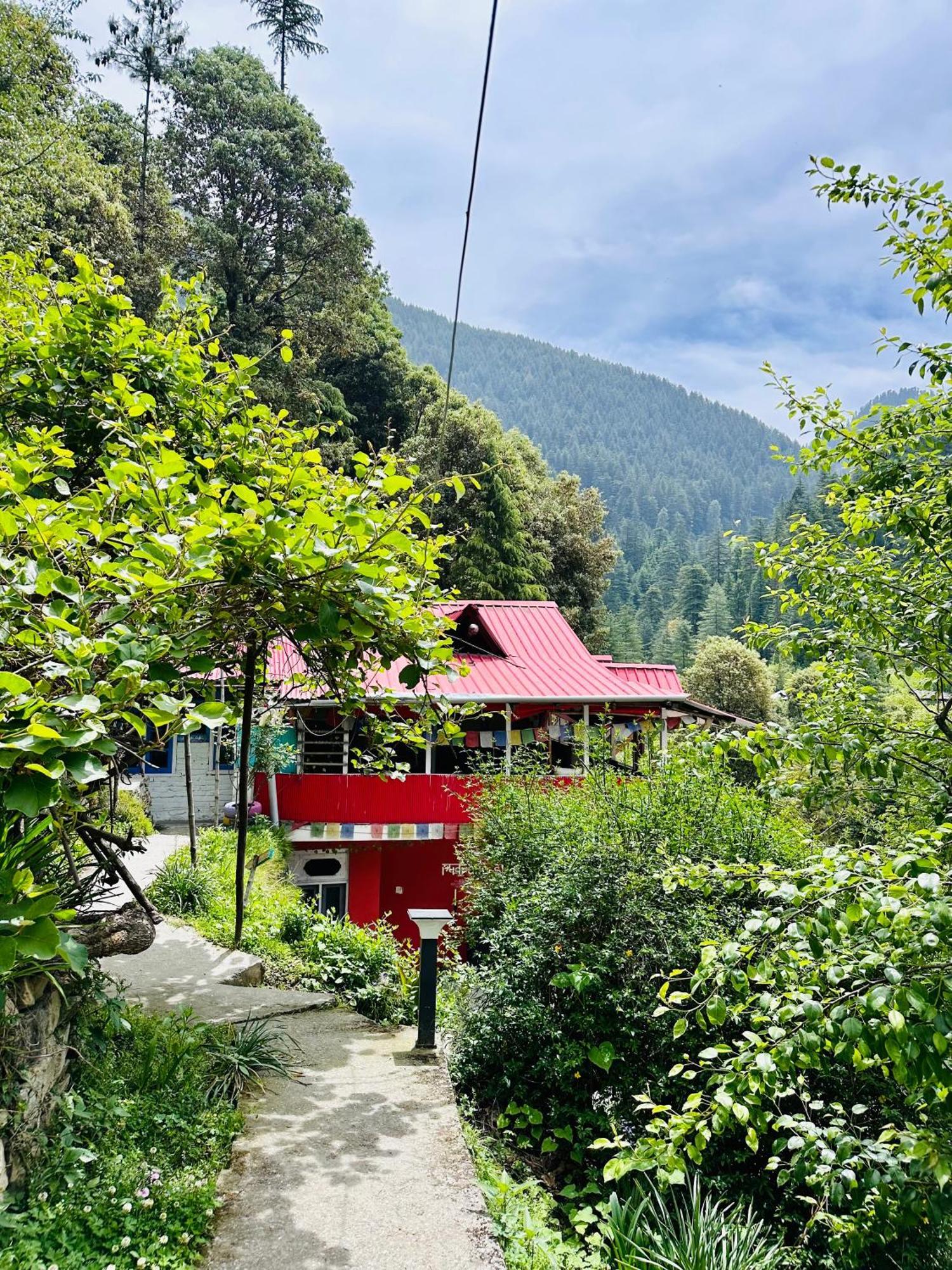 Hostel 360 Degree, Jibhi Εξωτερικό φωτογραφία