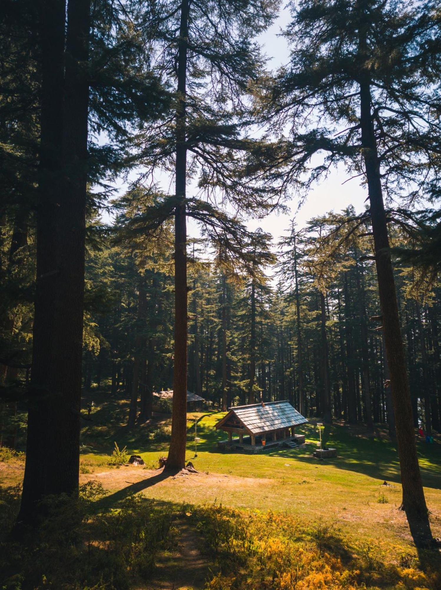 Hostel 360 Degree, Jibhi Εξωτερικό φωτογραφία
